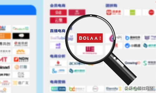 博拉網絡 以多項數字化服務領先優勢，榮登中國數字營銷生態圖